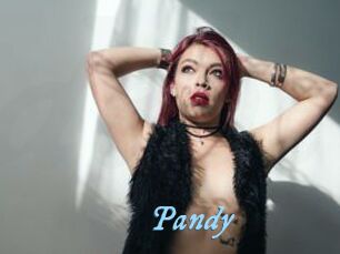 Pandy