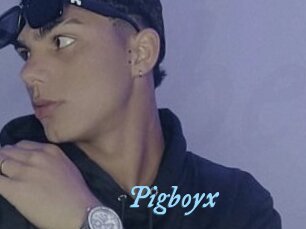 Pigboyx