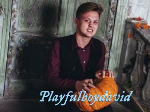Playfulboydavid