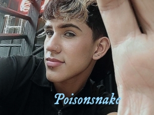Poisonsnake