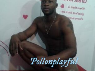 Pollonplayful