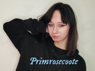 Primrosecoote