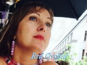 Red_Orchid