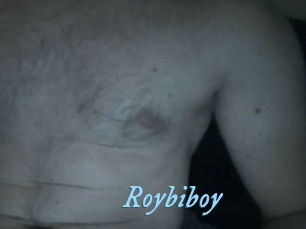 Roybiboy