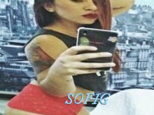 SOFI_G