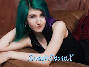 SandySnowX