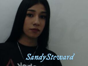 SandySteward