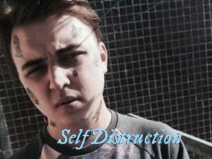 SelfDistruction