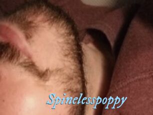 Spinelesspoppy