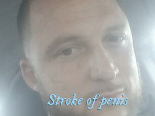 Stroke_of_penis