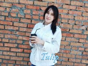Tulip
