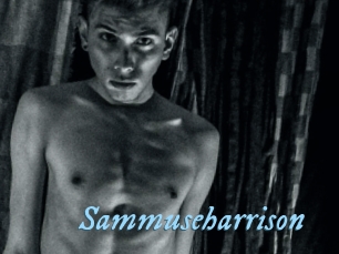 sammuseharrison DeriheruI