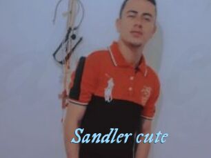 Sandler_cute