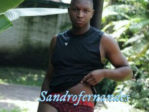 Sandrofernandes