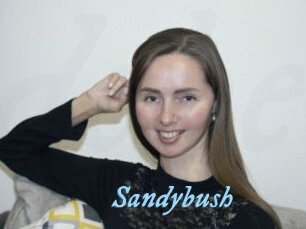 Sandybush