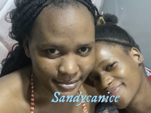 Sandycanice