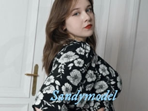 Sandymodel