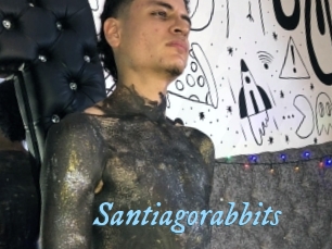 Santiagorabbits