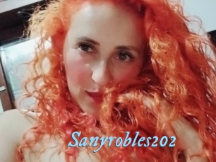 sanyrobles202 DeriheruI