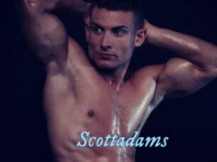 Scottadams