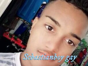 Sebastianboy_gay