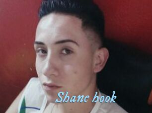 Shane_hook