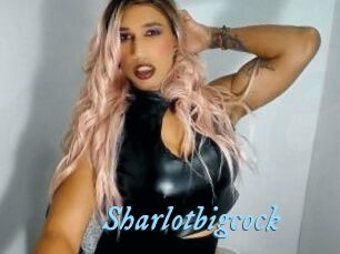 Sharlotbigcock