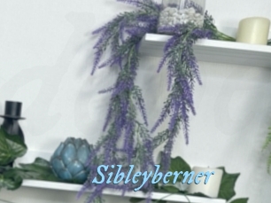 Sibleyberner