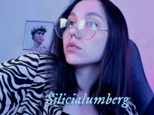 Silicialumberg