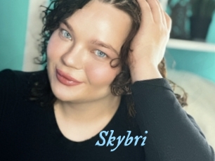 Skybri