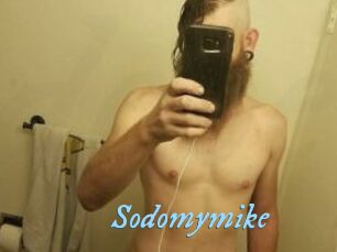 Sodomymike