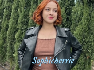 Sophicherrie