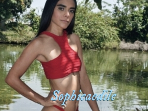 Sophieaedile