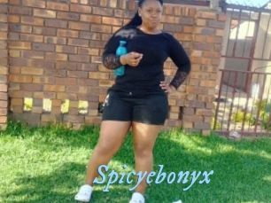 Spicyebonyx