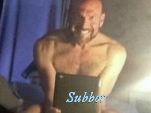 Subbot