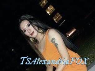 TSAlexandriaFOX