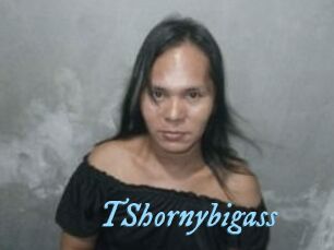 TShornybigass