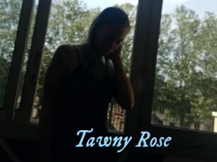 Tawny_Rose