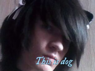 This_is_dog