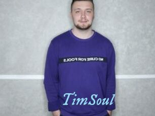 TimSoul