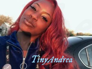 TinyAndrea