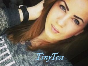 TinyTess