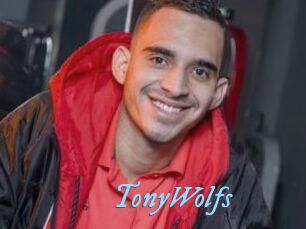 TonyWolfs