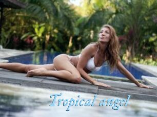 Tropical_angel