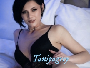 Taniyagrey