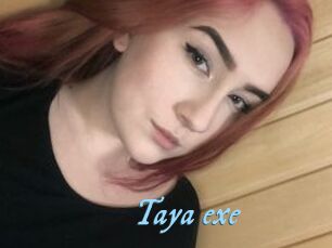 Taya_exe