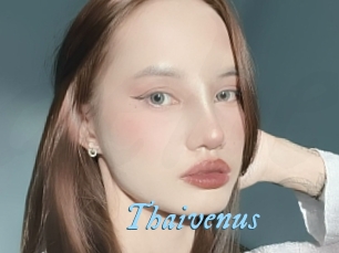 Thaivenus