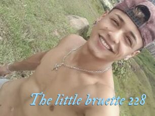 The_little_bruette_228