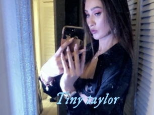 Tiny_taylor