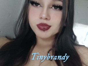 Tinybrandy